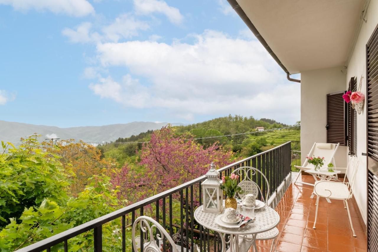 Sassi Scritti - Acero Montano Apartment Montefegatesi Bagian luar foto
